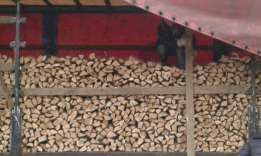 Дрова Дуб Граб Глеваха  Київ обл.