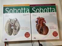 Komplet anatomia SOBOTTA - 3 części