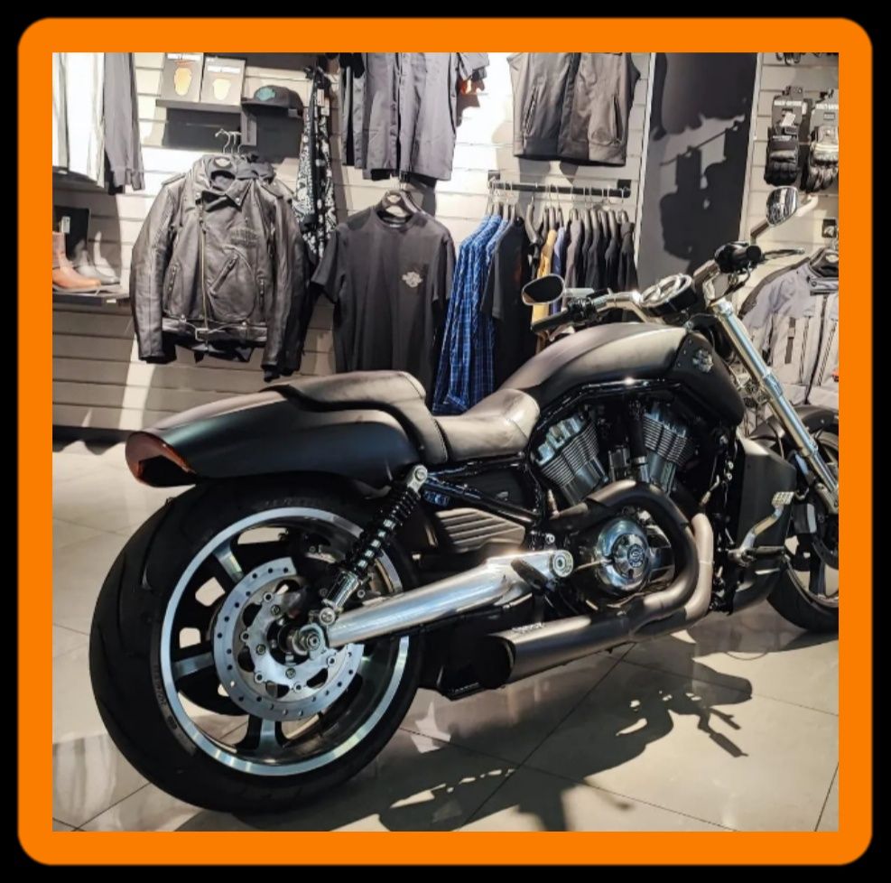 Harley-Davidson VRSCF MUSCLE