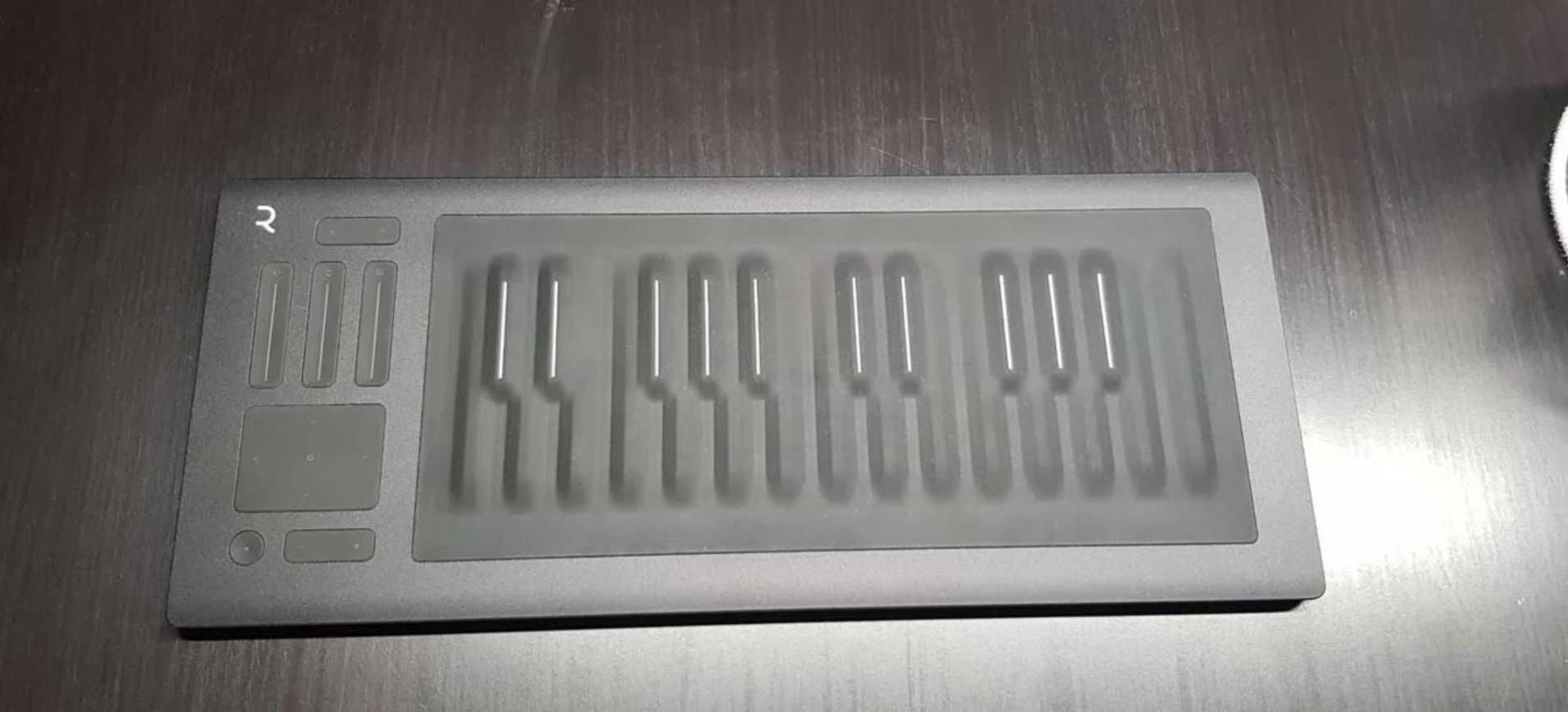 Roli Seaboard Rise 25