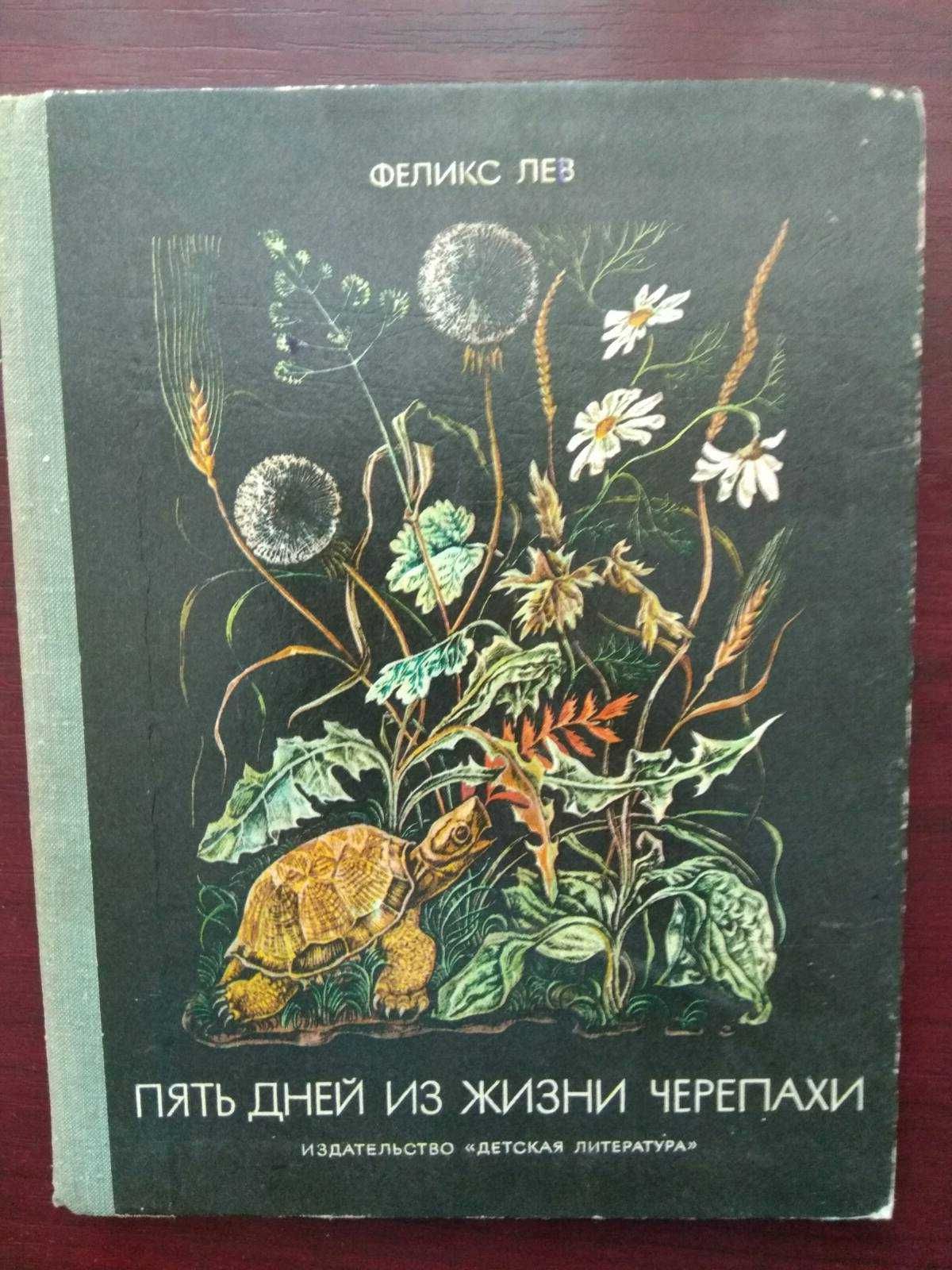 "Пять дней из жизни черепахи"