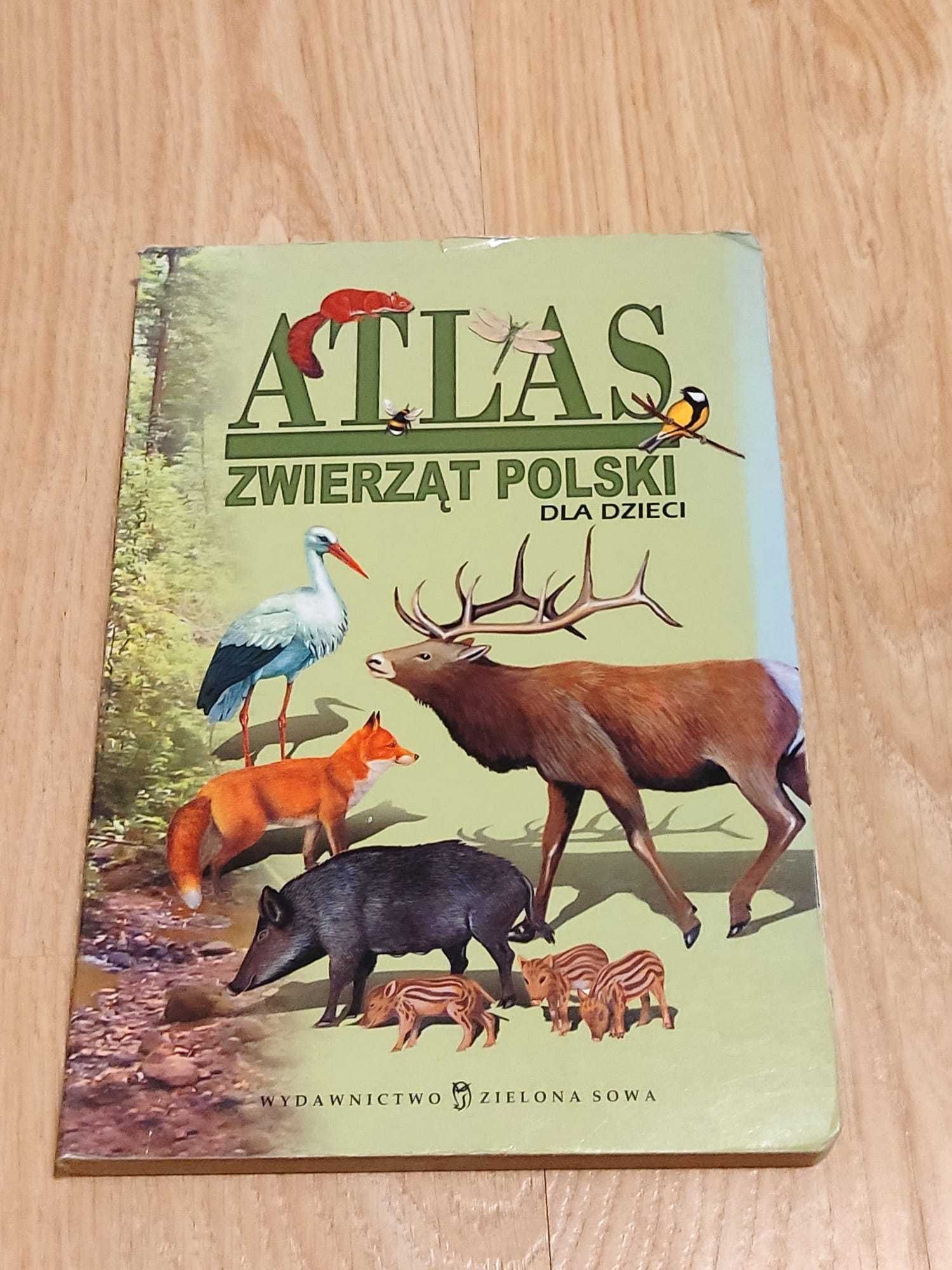 Atlas zwierząt Polski dla dzieci