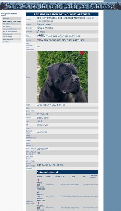 Цуценята від Интерчемпина