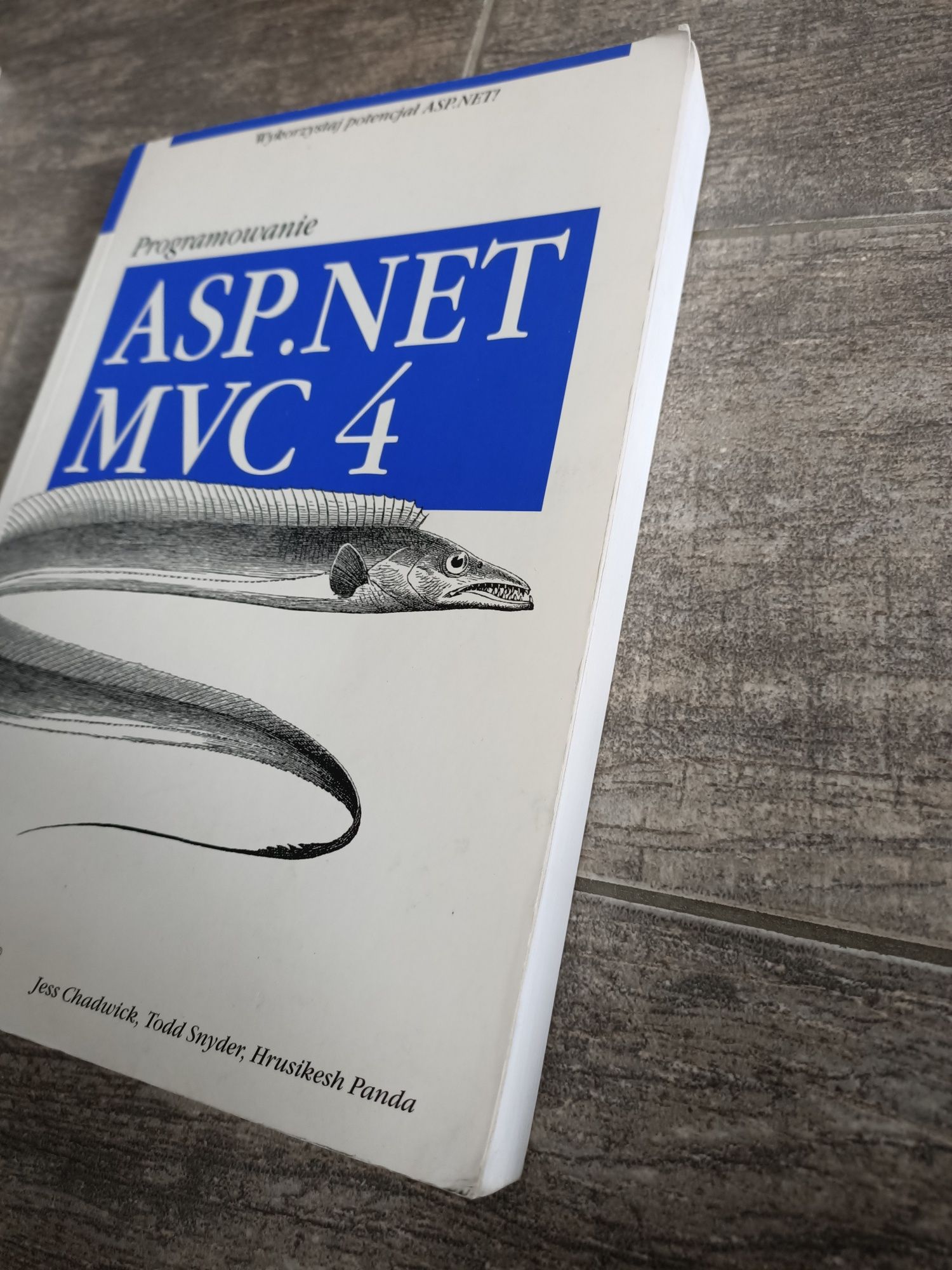 Programowanie ASP.NET MVC 4 Chadwick Snyder Panda