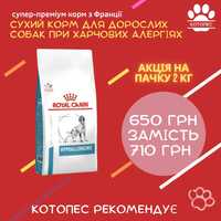 Сухий корм для дорослих собак Royal Canin Hypoallergenic
