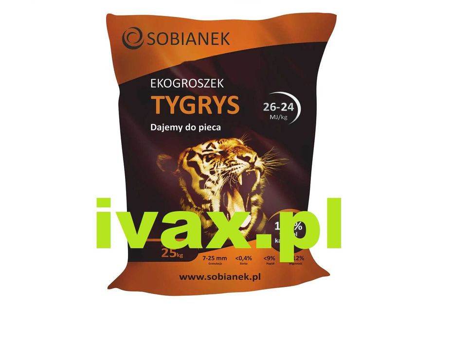 TYGRYS Sobianek groszek