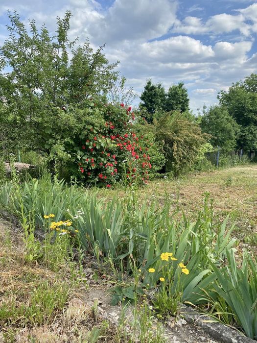 Продам дачу в мальовничому місці біля річки