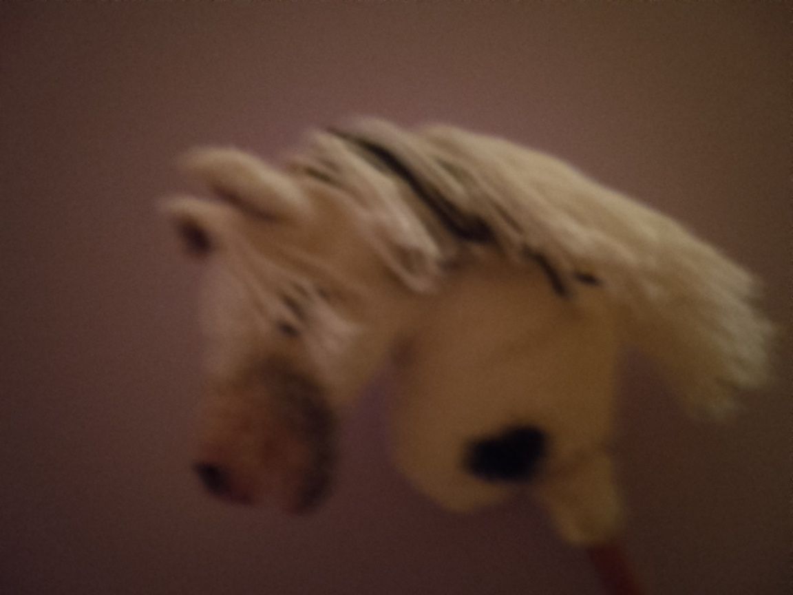 Hobby horse nowy