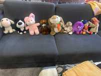 Peluches varios sobretudo animais conjunto 30 euros