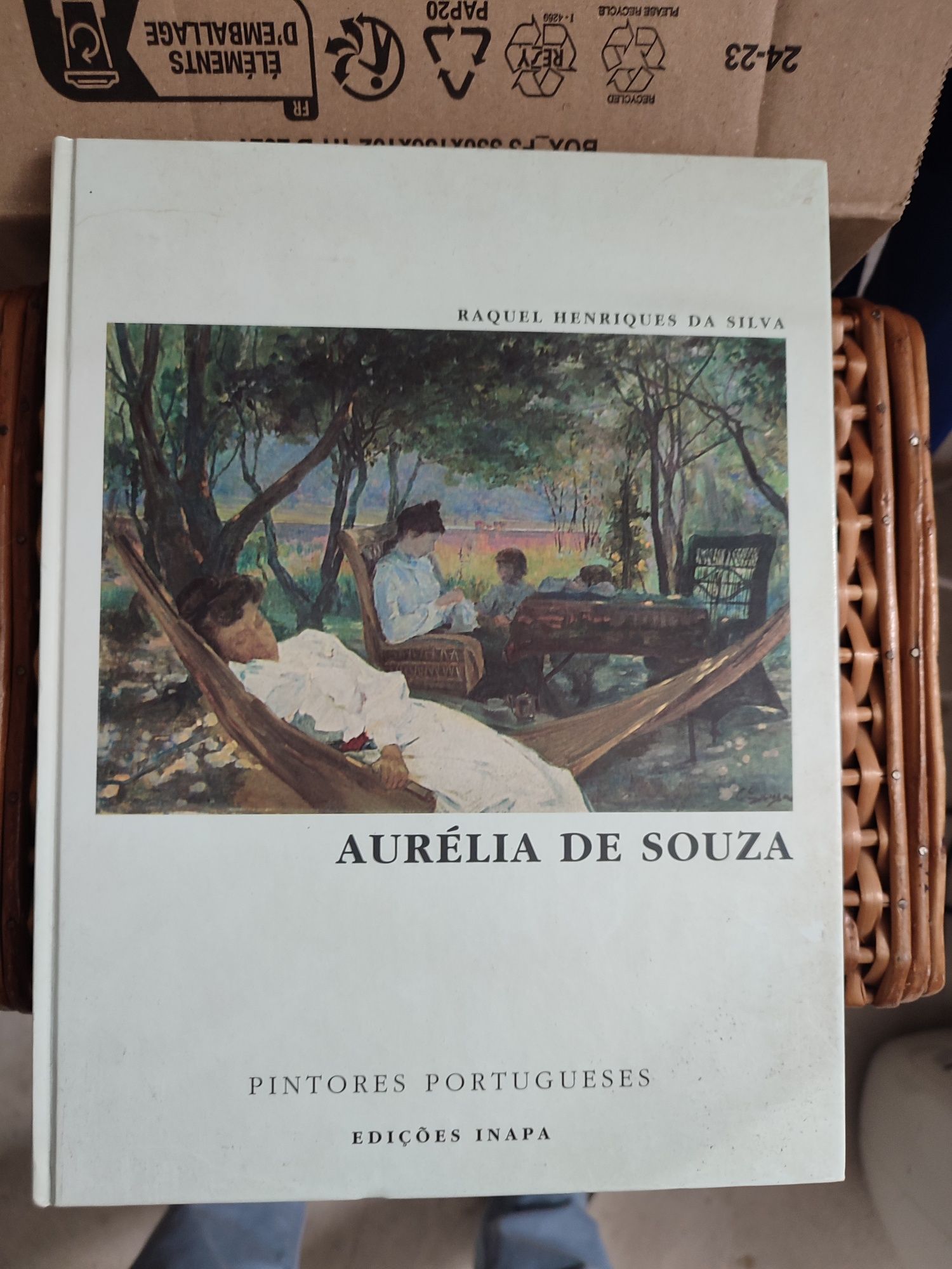 Livros sobre Pintura (Miró e Aurelia de Souza)