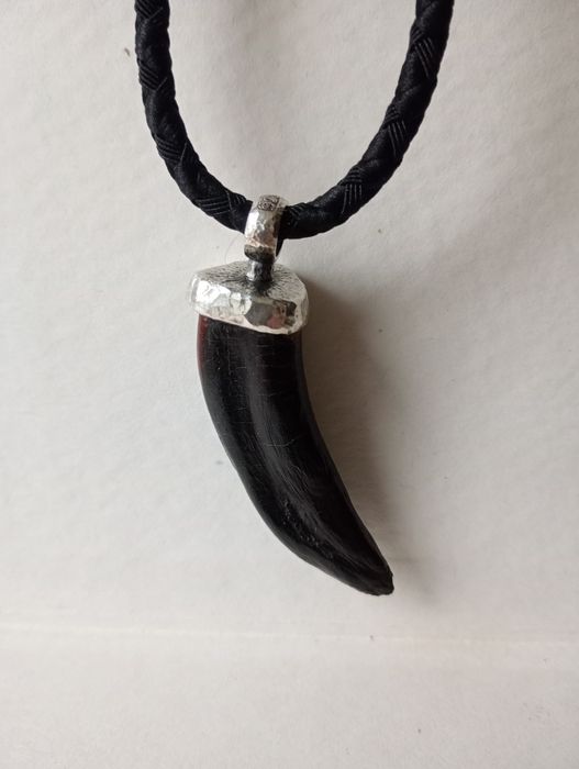 Коготь медвідя (кулон)