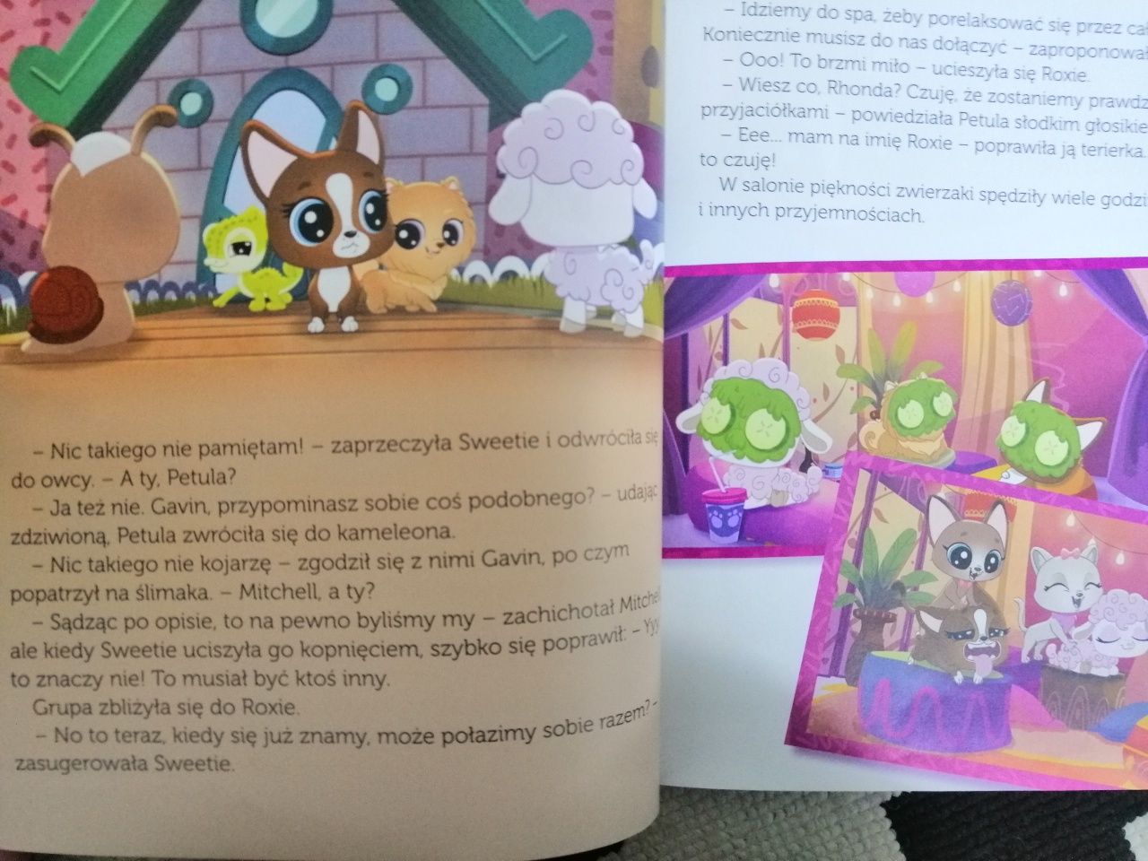 Książka dla dzieci Littlest Pet Shop