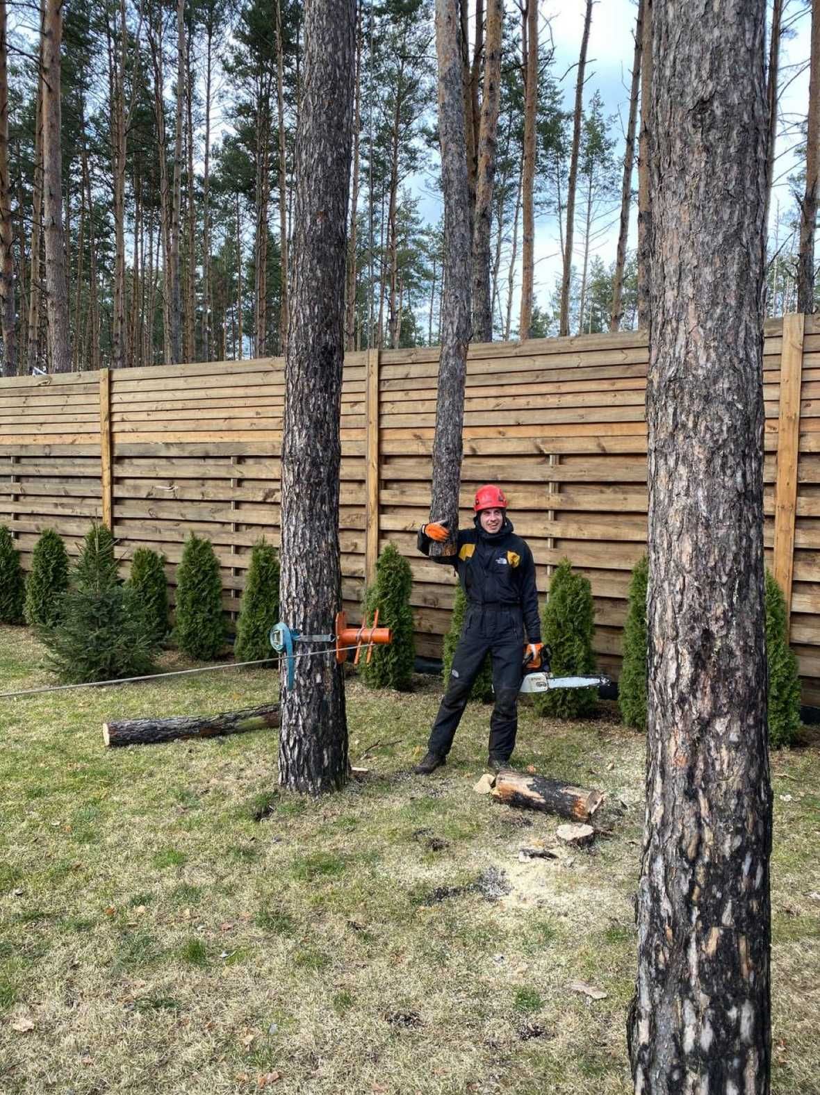 Зрізання дерев Спил дерев Обрізка дерев Кронування. Договір/Гарантія!