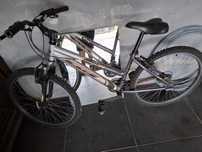 Bicicleta adulto