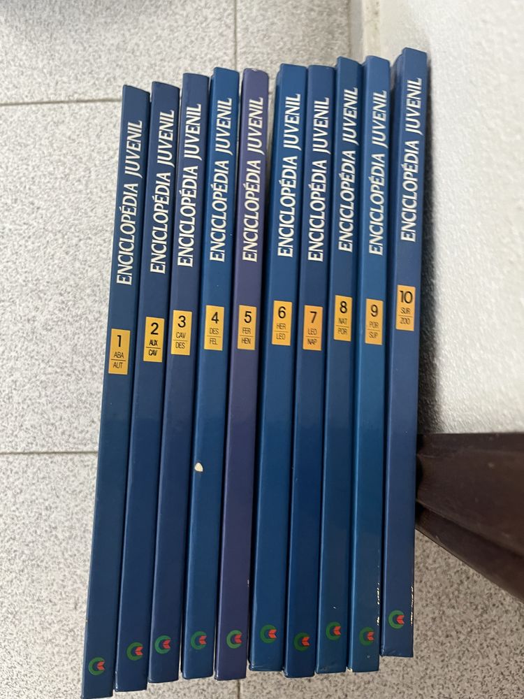 Enciclopédia Juvenil 10 livros