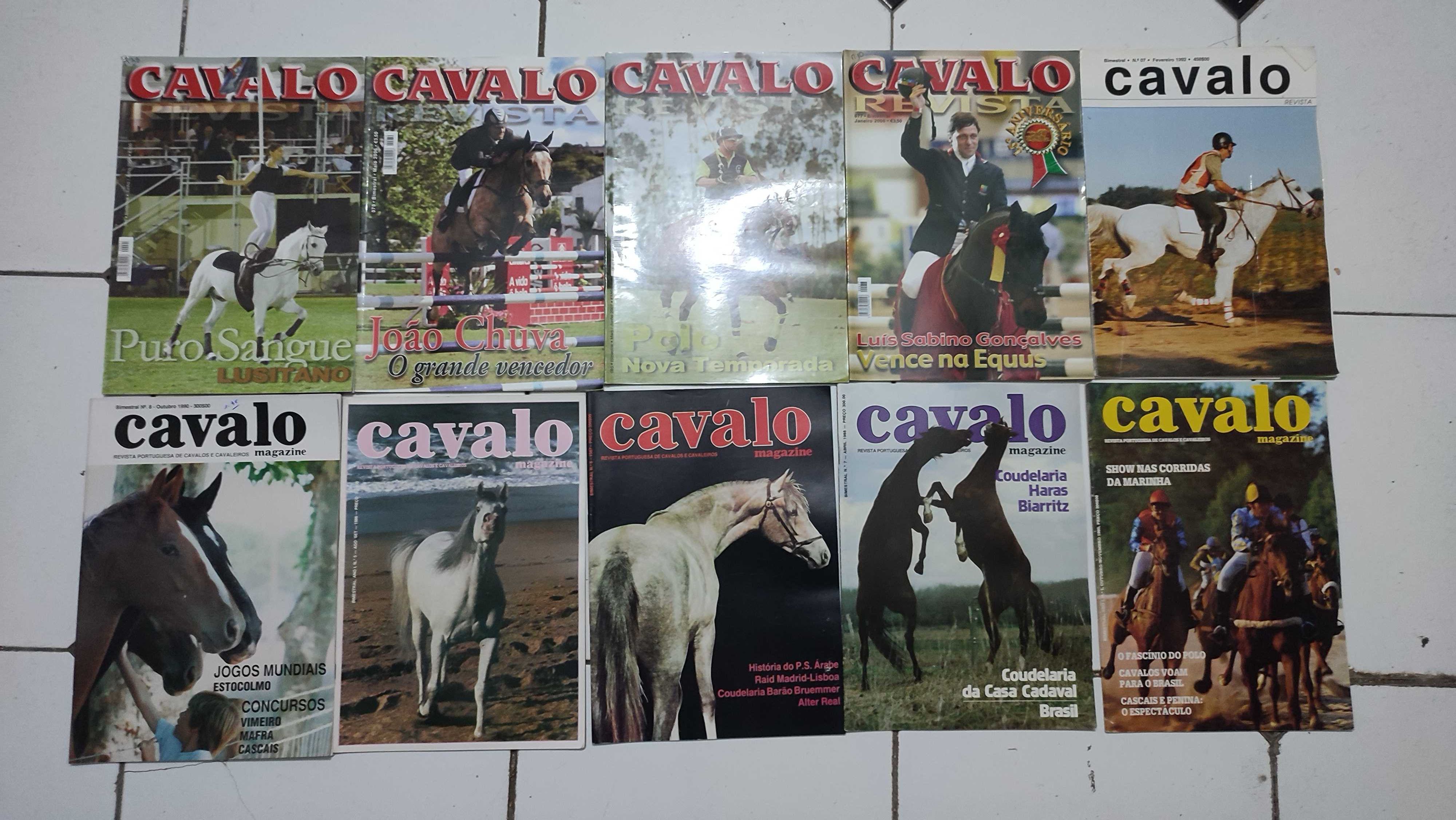 Lote 34 Revistas Cavalo