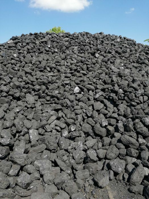 Węgiel kamienny orzech, kostka, ekogroszek, groszek, polski i import