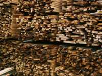 Drewno rozpałkowe, opałowe