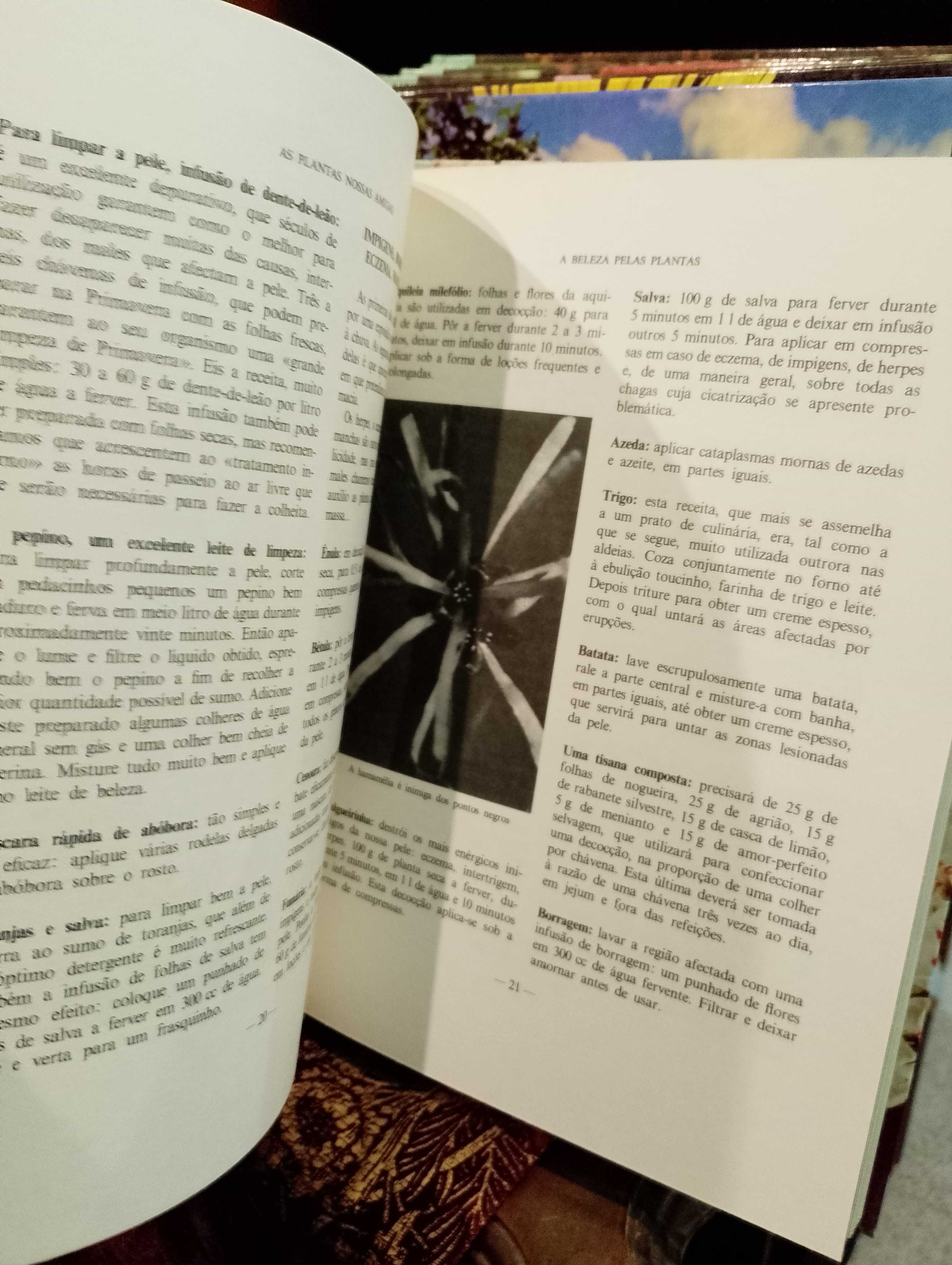 As plantas nossas amigas - Amigos do Livro (Coleção completa - 8 vol.)