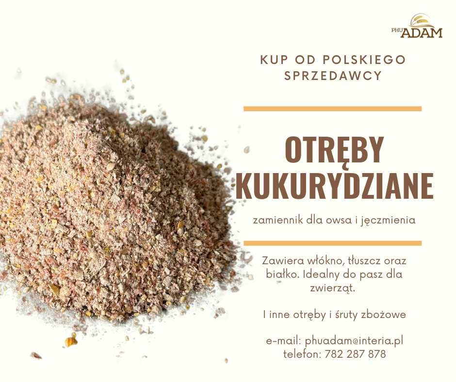 kukurydza śruta otręby , nie ccm 26 ton owies