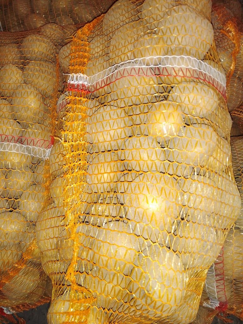 Ziemniaki 15kg wineta gala lili Kapusta szatkowana z dowozem