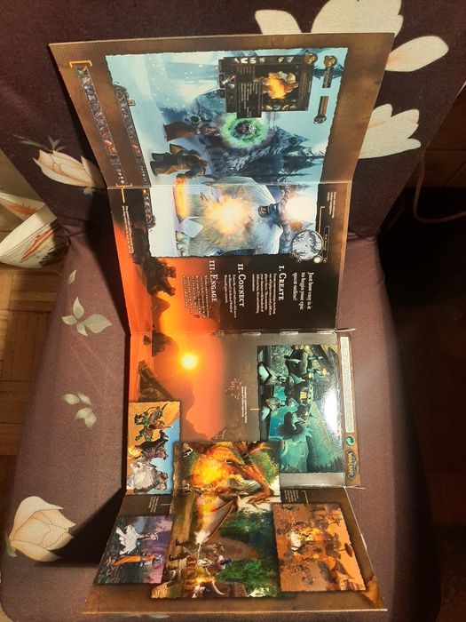 Gra World of Warcraft - unikat