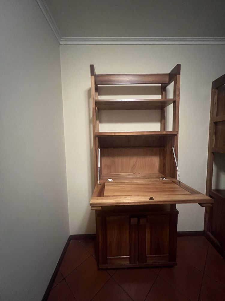 Movel de sala de estar 1