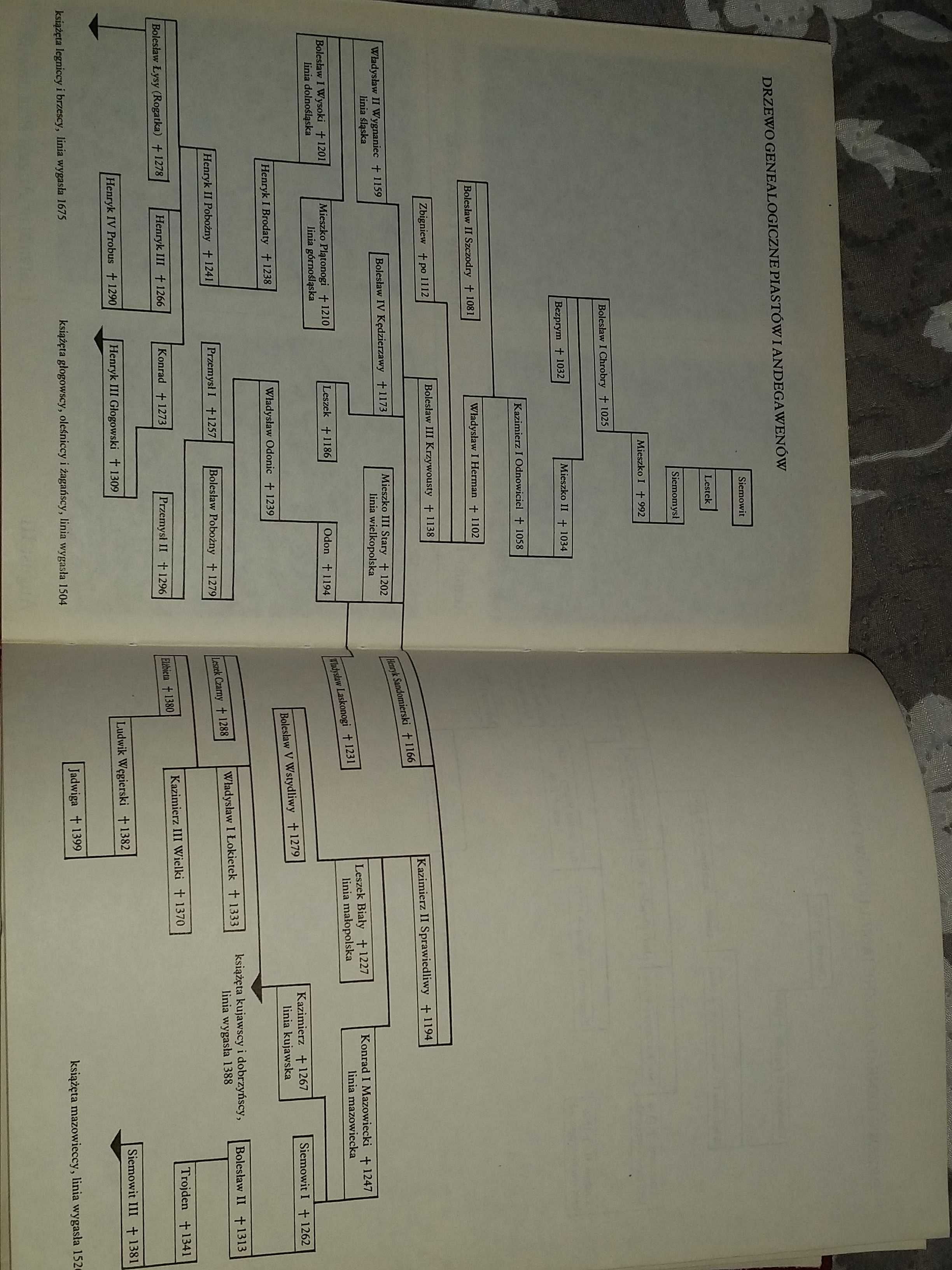 Poczet królów i książąt polskich twarda oprawa 1987