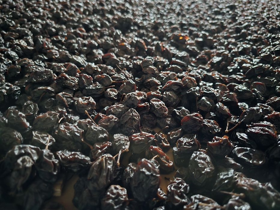 Śliwka suszona tradycyjną metodą damacha lub węgierka. Naturalna!