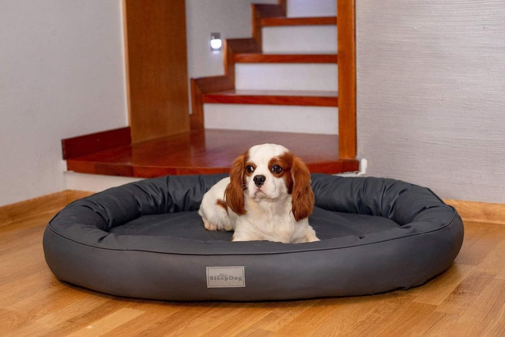 Reproduktor cavalier blanheim