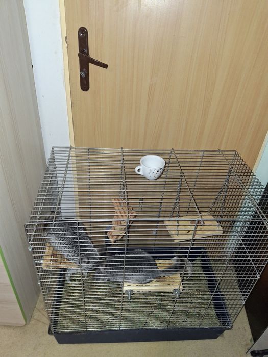 Duża klatka sprzedam