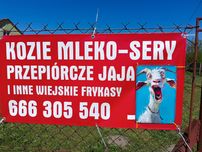 Mleko kozie i sery