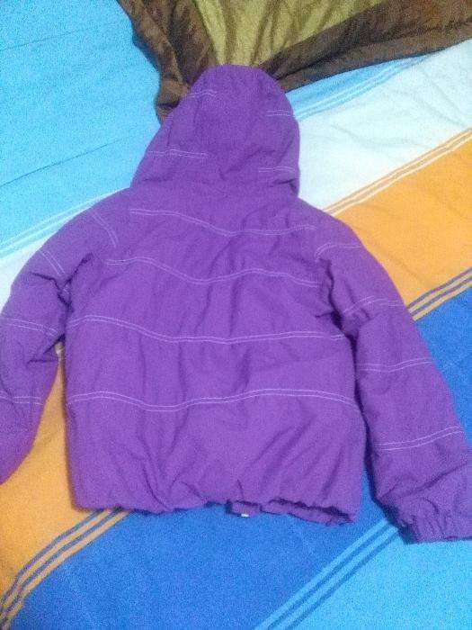 Kispo da Quechua  6 anos