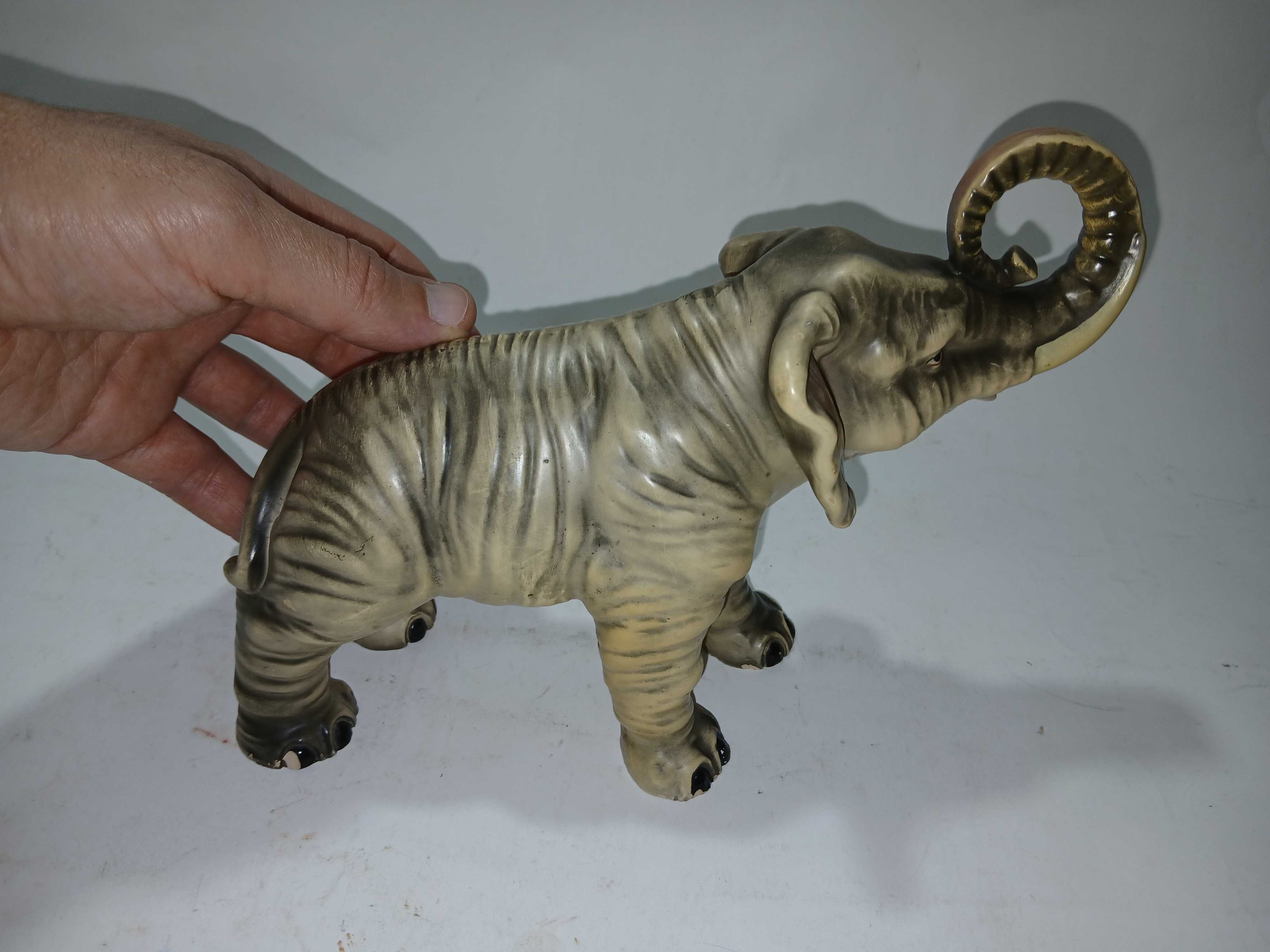 Antigo Elefante e loiça / faiança - Coimbra