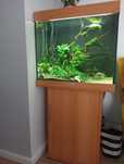 Akwarium juvel lido 200