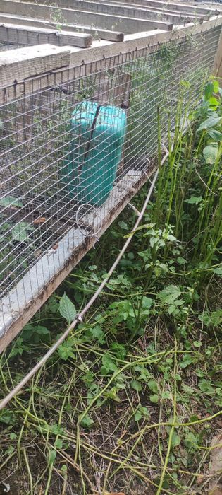 Клітки для кролів