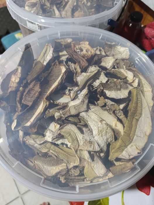 Продаю сушені гриби