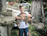 Coelhos gigantes de Flandres cruzado com gigante espanhol