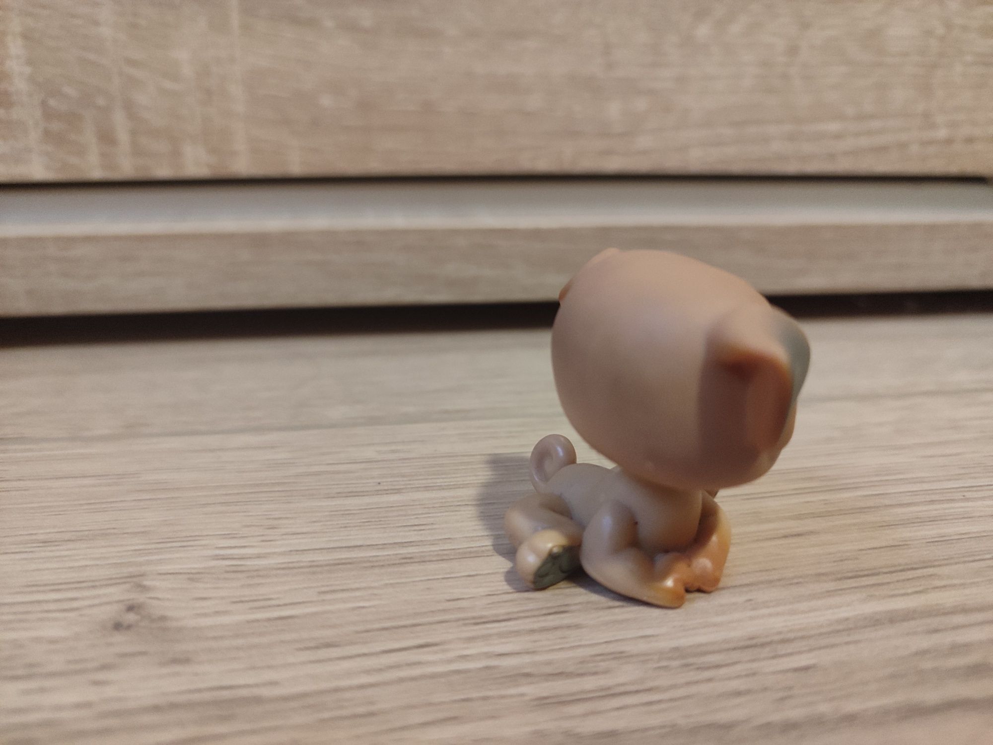 OKAZJA piesek MOPS #2 Littlest Pet Shop LPS
pies piesek MOPS #2 -- Li