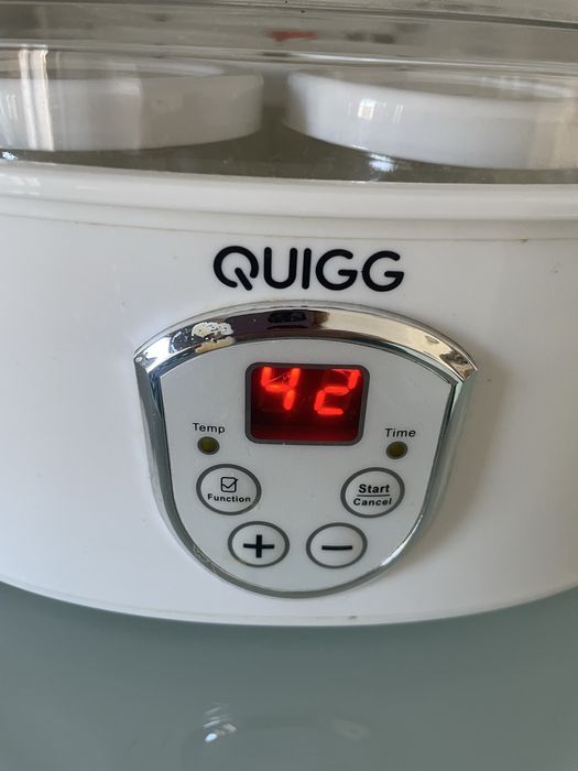 Iogurteira Quigg