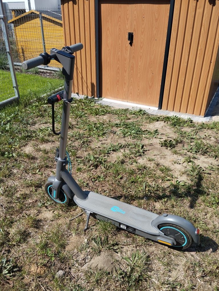 Motus Scooty 10 2021