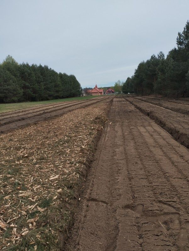 Mulczer wgłębny. Uslugi mulczerem,specjalistyczna wycinka  drzew.