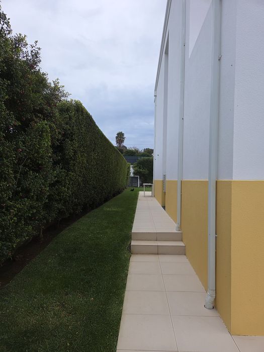 Manutenção de  jardins