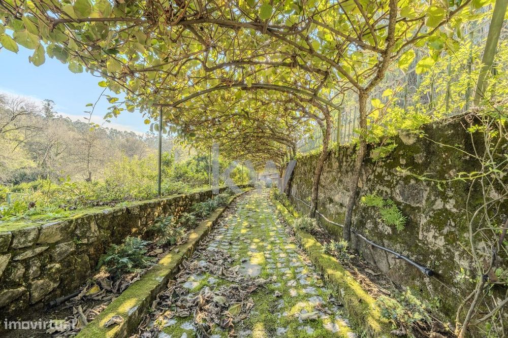 Quinta "O Riacho" – Refúgio à Margem do Rio Este, em Touguinhó, Vila d