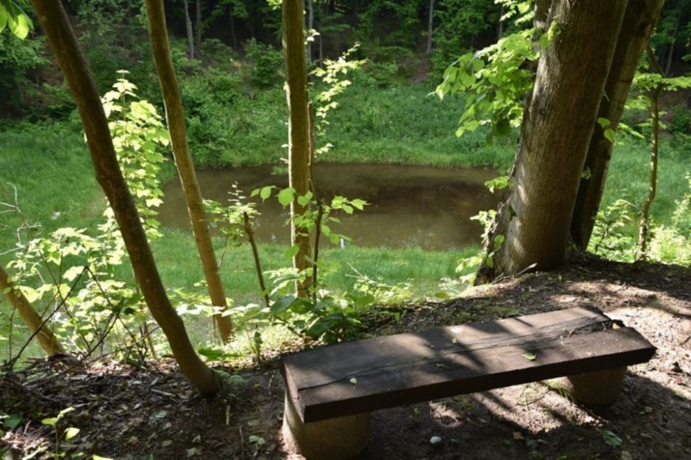 Drewniany domek z piernika - dom domek do wynajęcia