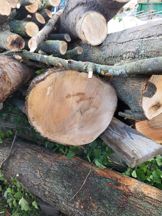 Kloc kłoda jesion drewno brusy