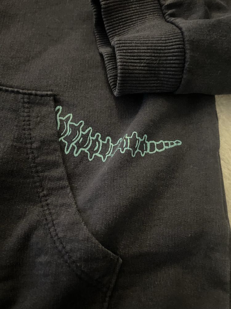 Bluza z dinozaurem