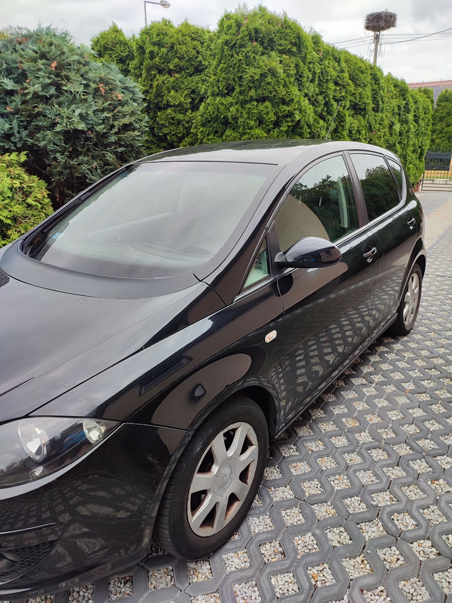 Seat Altea 2005 rok.
