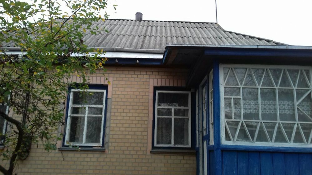 Здам в оренду будинок в с. Гарбузин (5 км від Корсуня). 0,18 га
