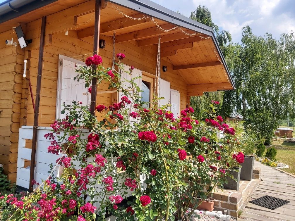 Drewniany Zakątek domek z jacuzzi i sauną na wyłączność